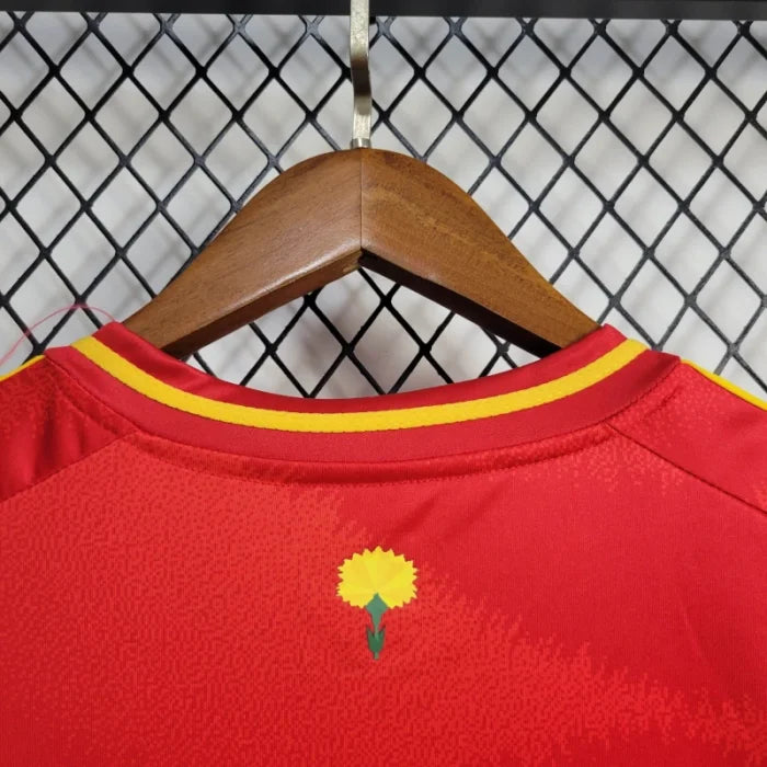 Spain 24/25 Home Kit