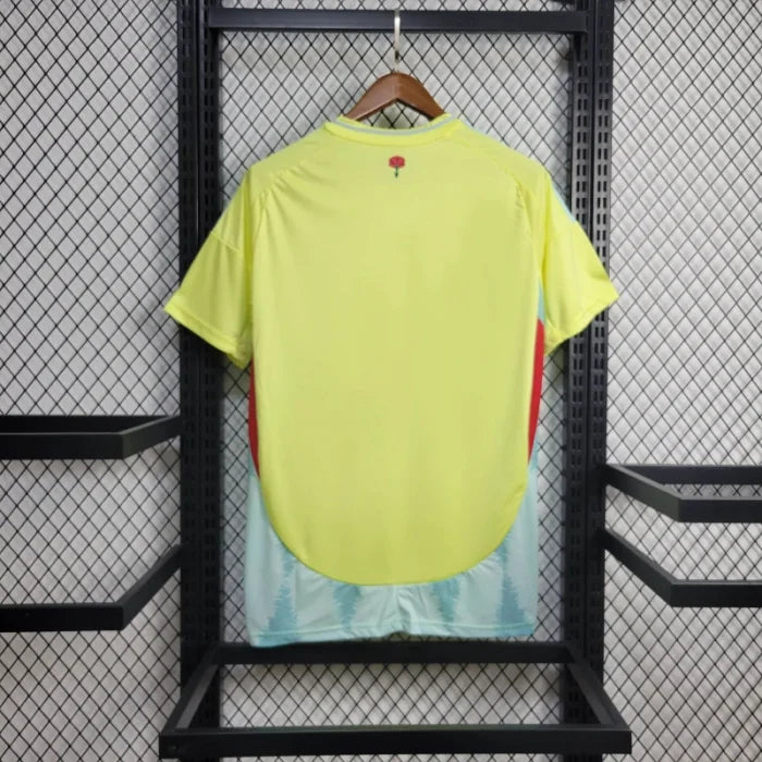 Spain 24/25 Away Kit